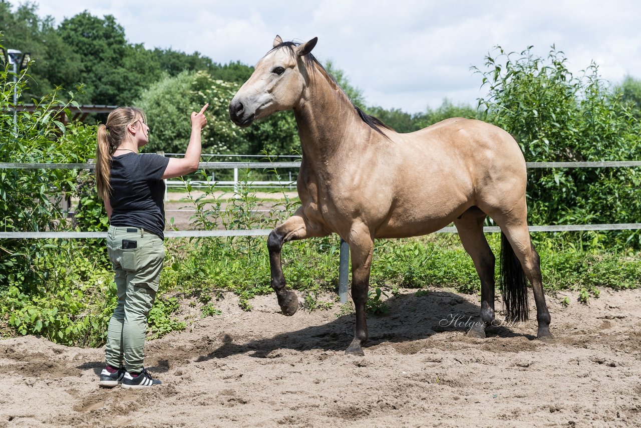Bild 186 - Vivi